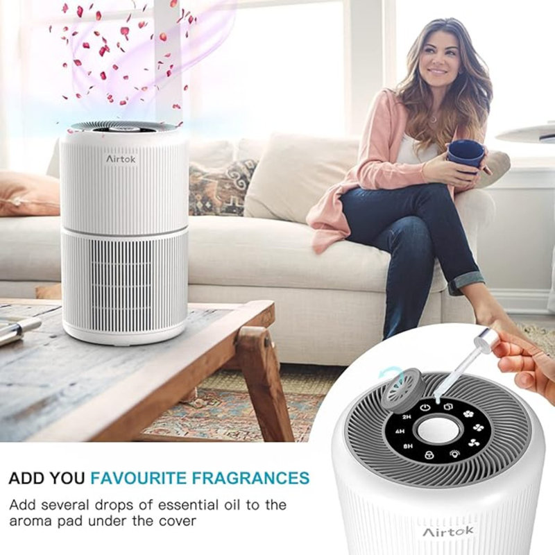 Smoke filter for room sale